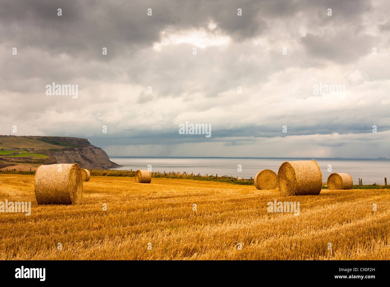 Appena raccolto campo con stoppie di grano e balle di paglia nella campagna inglese con Boulby Cliff in background. Foto Stock