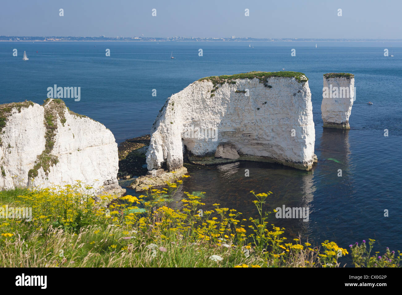 Il vecchio Harry rocce sono formazioni di gesso, situato al punto di Handfast, sull'Isola di Purbeck in Dorset, Inghilterra del sud. Foto Stock Il vecchio Harry rocce sono formazioni di gesso, situato al punto di Handfast, sull'Isola di Purbeck in Dorset, Inghilterra del sud. Foto Stock