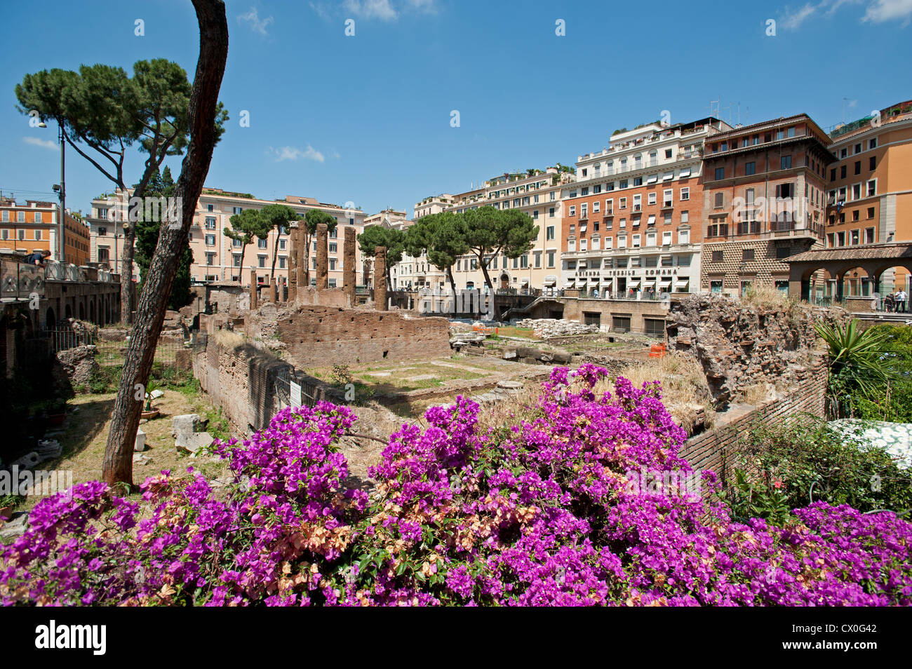 Area Sacra di Largo Argentina Roma Italia Foto Stock
