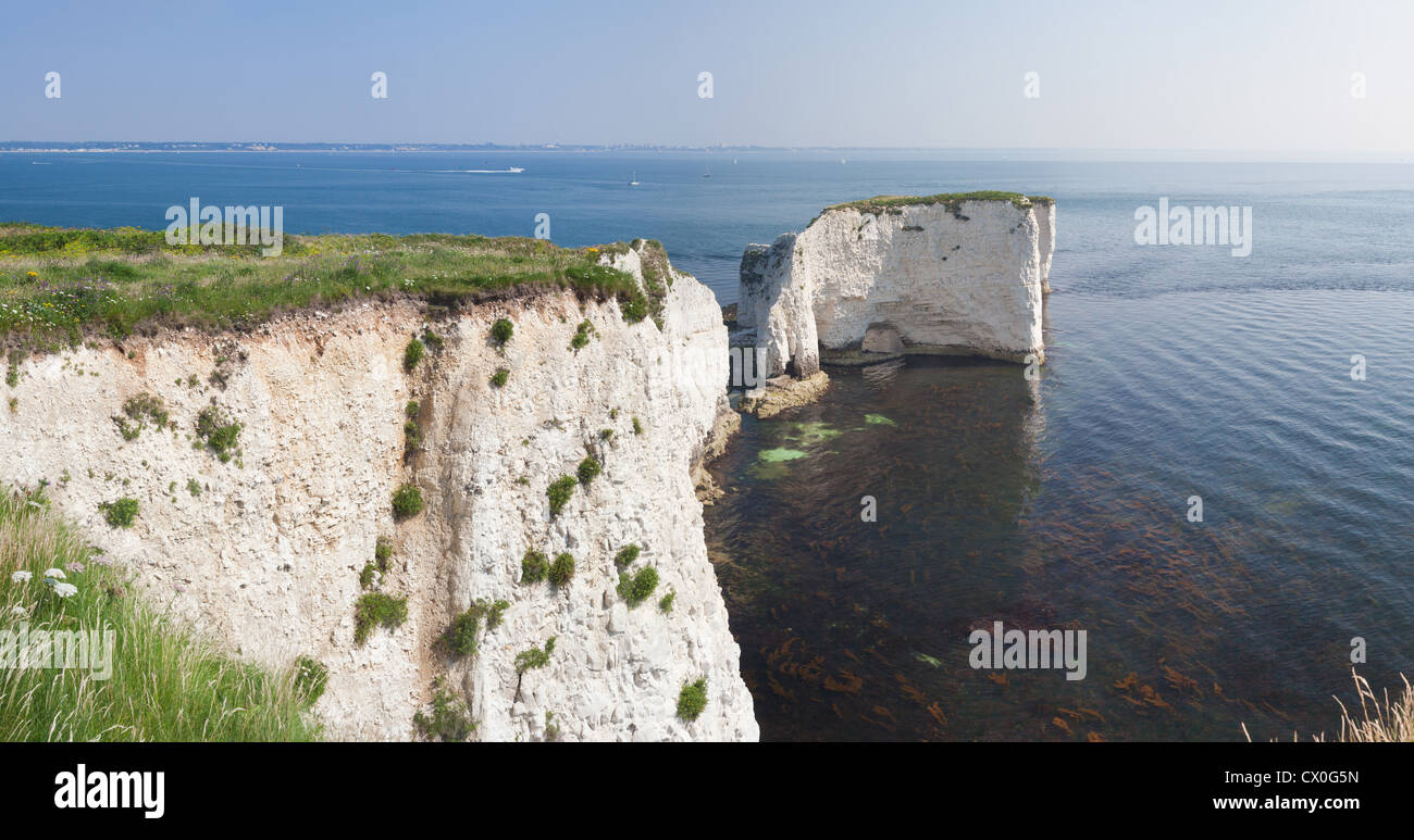 Un ampio panorama del vecchio Harry rocce sono formazioni di gesso, situato al punto di Handfast, sull'Isola di Purbeck nel Dorset Foto Stock