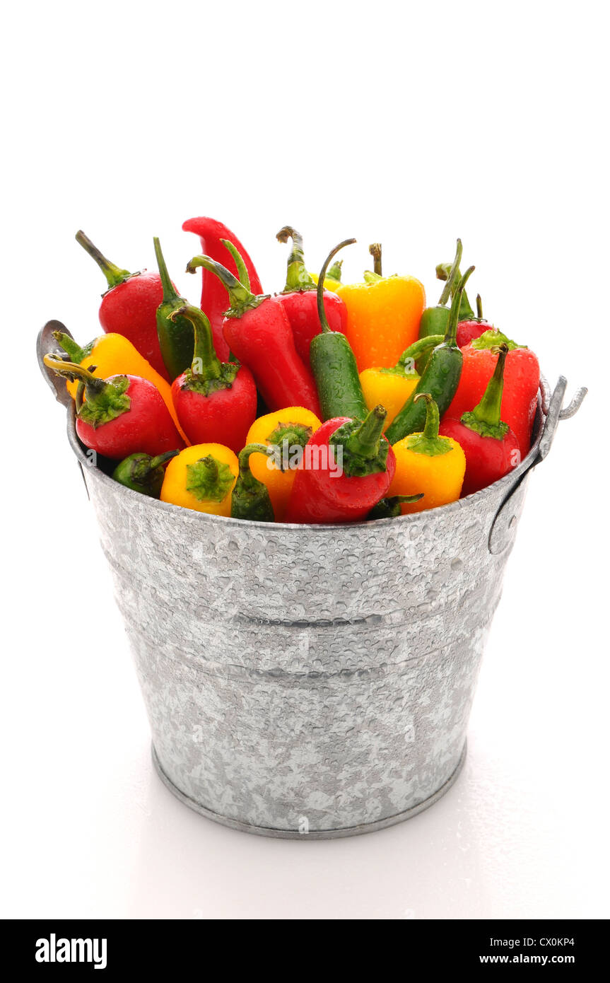 Primo piano di un assortimento di peperoni e peperoncini rossi in un secchio di metallo con le goccioline di acqua su uno sfondo bianco. Foto Stock