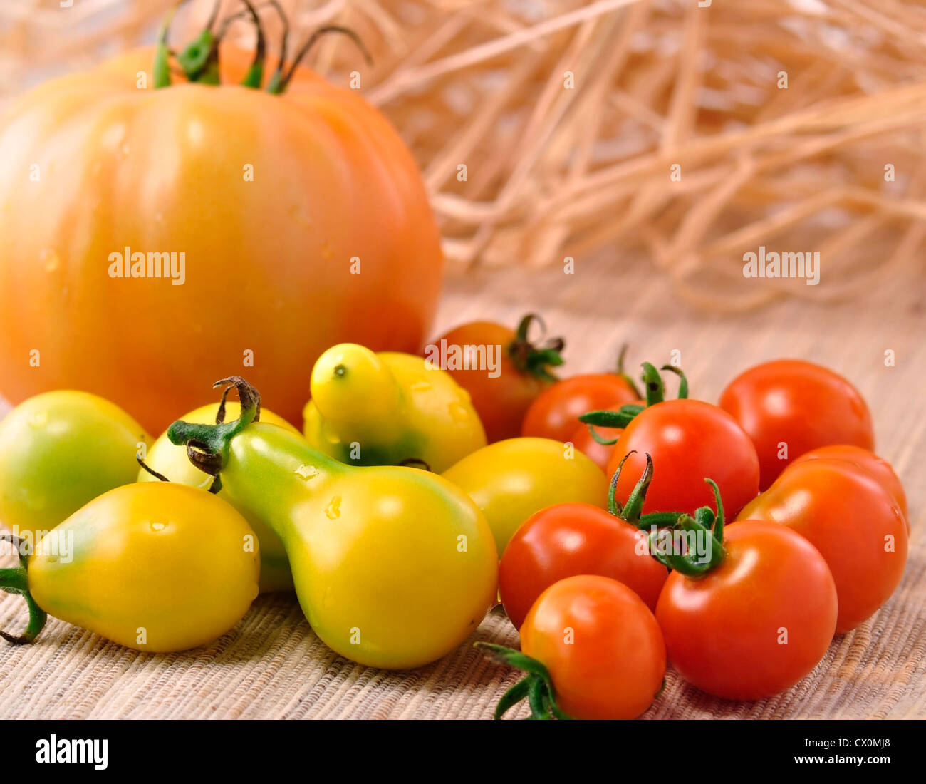 Varietà di pomodori Foto Stock