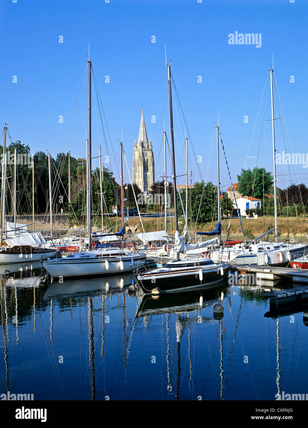 8234. Marennes, Charente Maritime, Francia, Europa Foto Stock