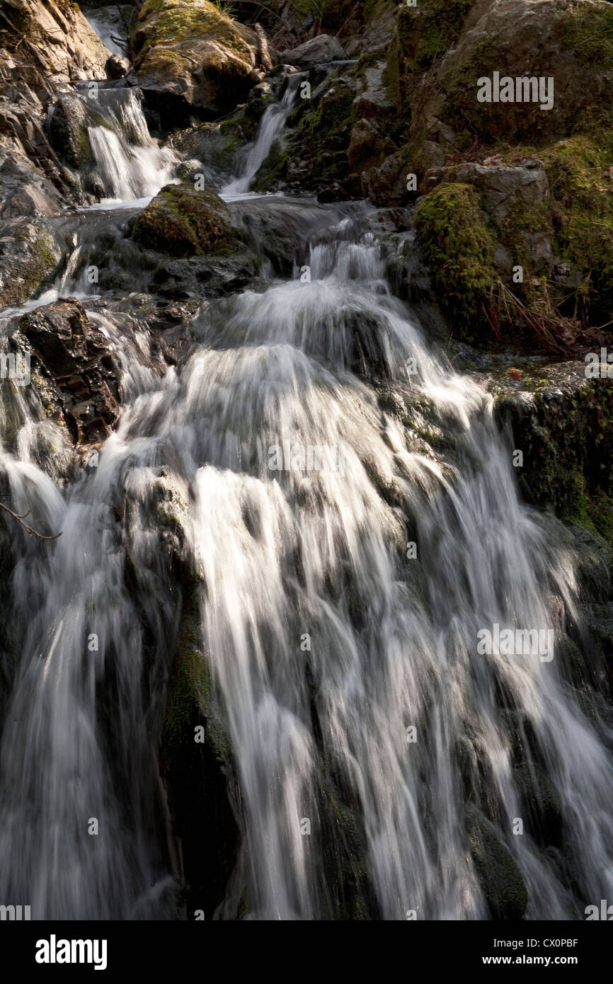 Tom Gill cascata, Coniston, Lake District Cumbria Foto Stock