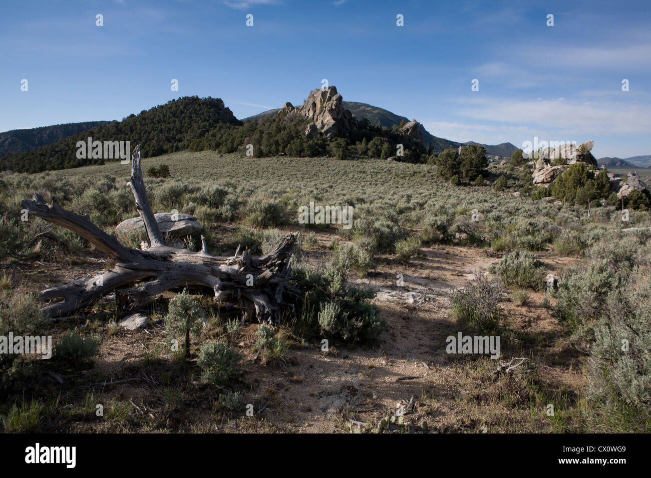 Città di roccia riserva nazionale da Cerchio Creek si affacciano, Almo, ID. Foto Stock