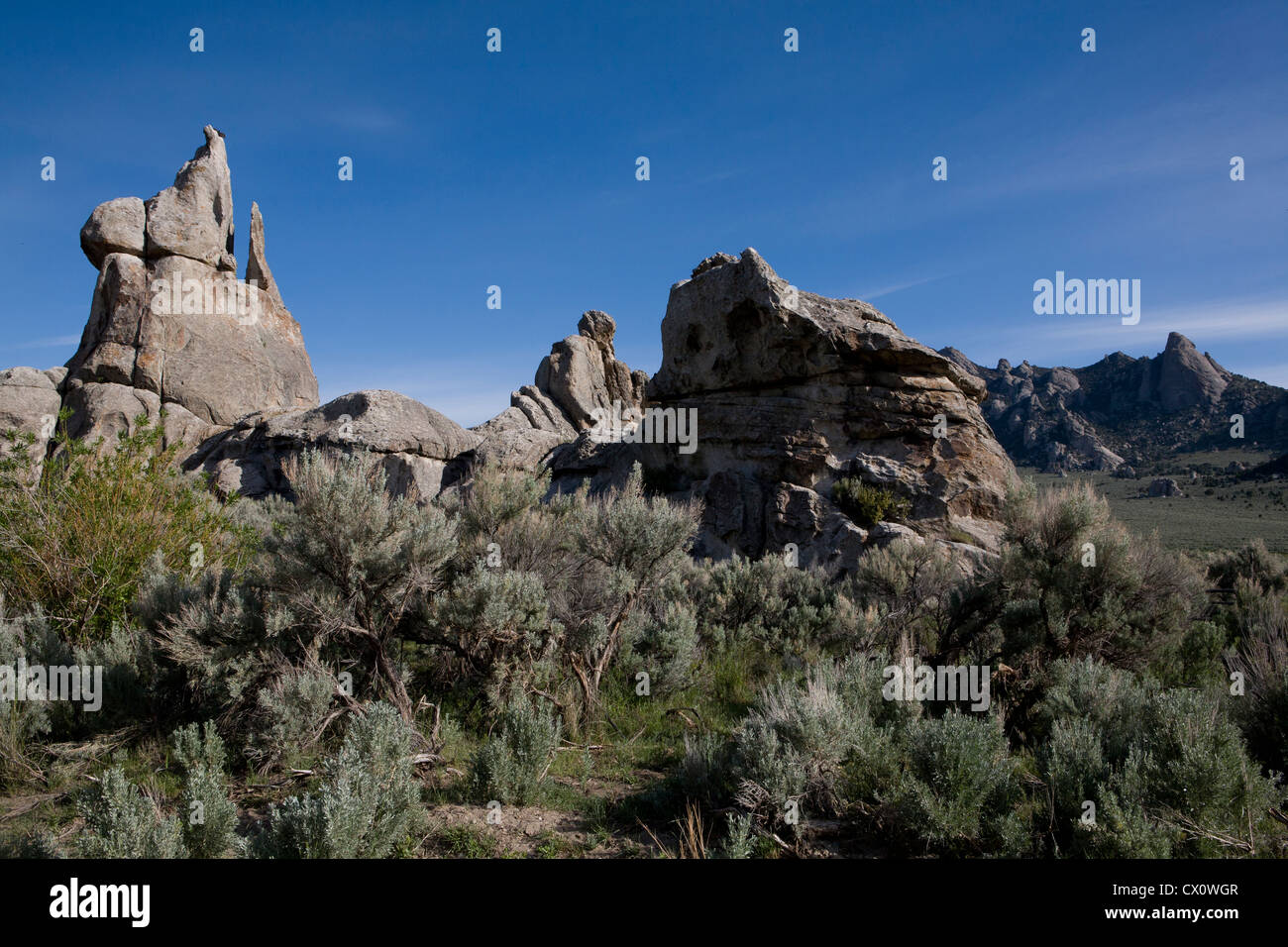 Fantasiose forme di roccia a città di roccia riserva nazionale, Almo, ID. Foto Stock