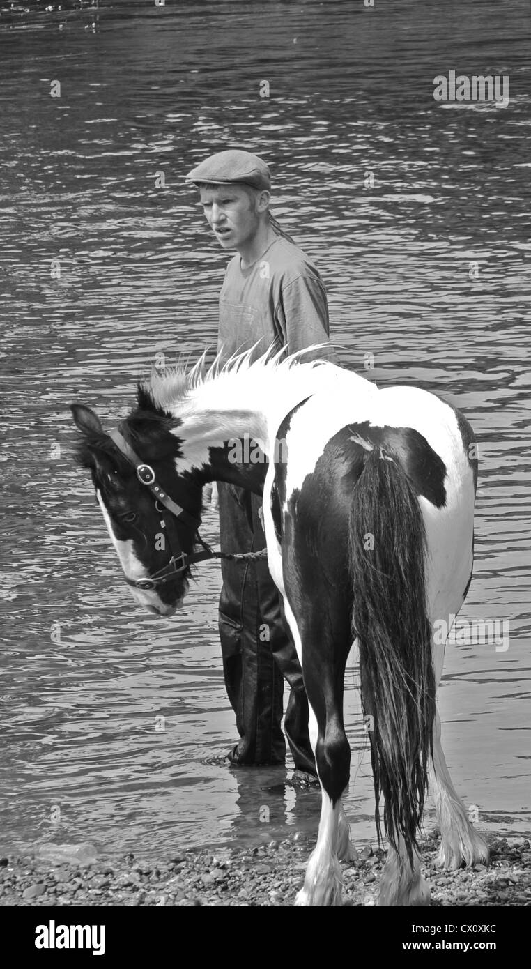 Un viaggiatore zingaro cavallo conduce ad acqua in un gypsy horse fair in Appleby, Westmorland, nord ovest Inghilterra Foto Stock