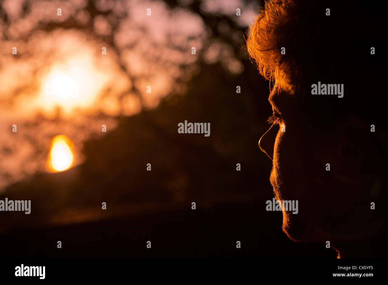 Profilo di giovani il volto dell'uomo guardando il tramonto attraverso filiali visto da dietro e di lato Foto Stock