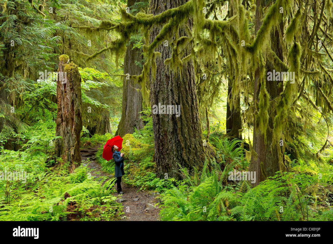 La donna nella foresta con ombrellone rosso Foto Stock