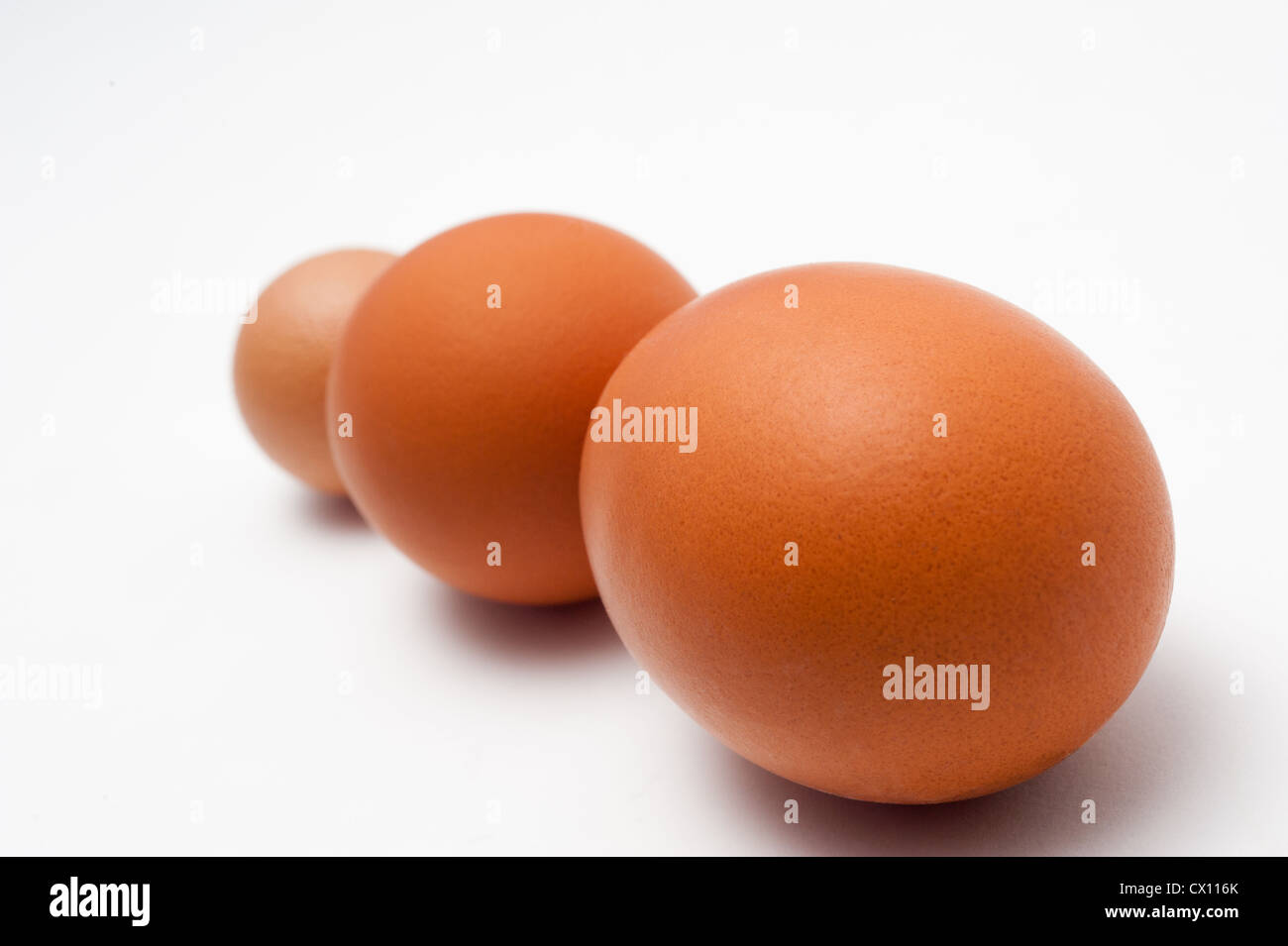 Le uova di gallina in una riga Foto Stock