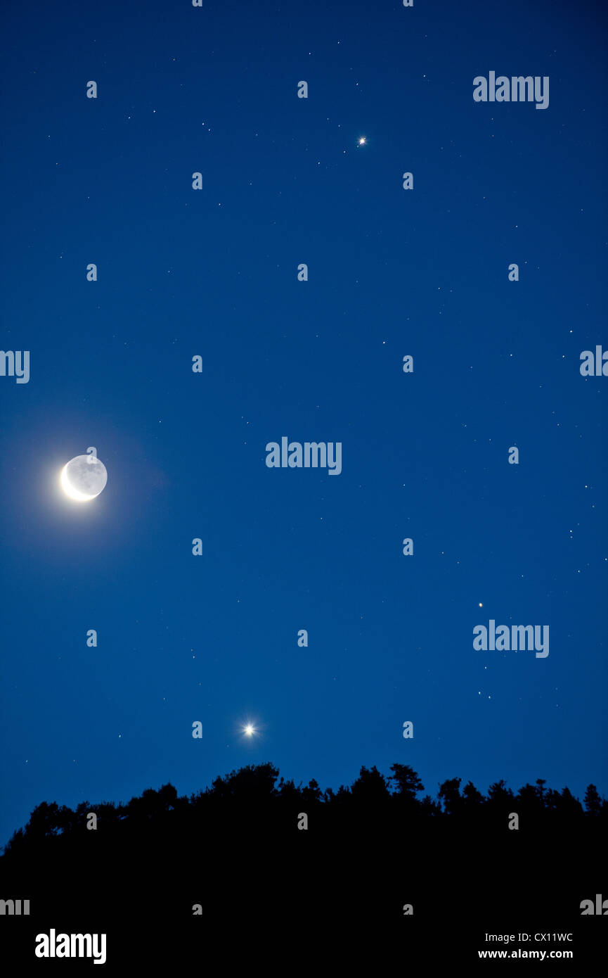 La luna e le stelle nel cielo Foto Stock