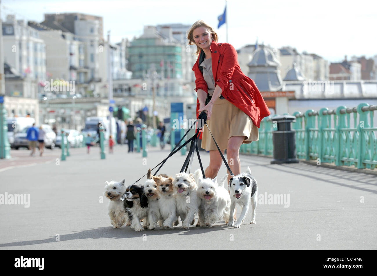 Model Jodie Kidd sul lungomare di Brighton dove stava aiutando a promuovere la città come la Gran Bretagna è più luogo Dog-Friendly 2012 Foto Stock