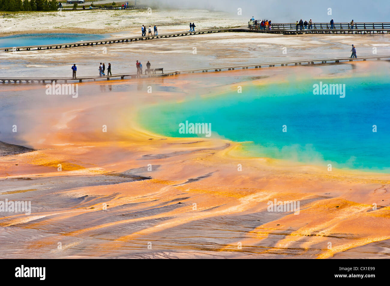 Parco Nazionale di Yellowstone Grand Prismatic Spring Midway Geyser Basin Parco Nazionale di Yellowstone Wyoming USA Stati Uniti d'America Foto Stock