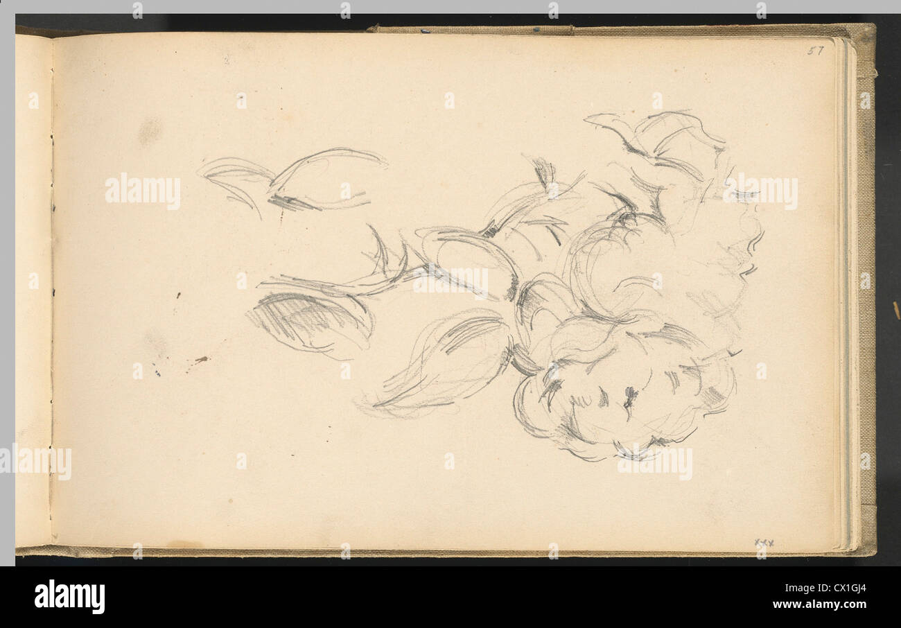 Paul Cézanne, Peonie, francese, 1839 - 1906, 1890/1893, Grafite su carta intessuta Foto Stock