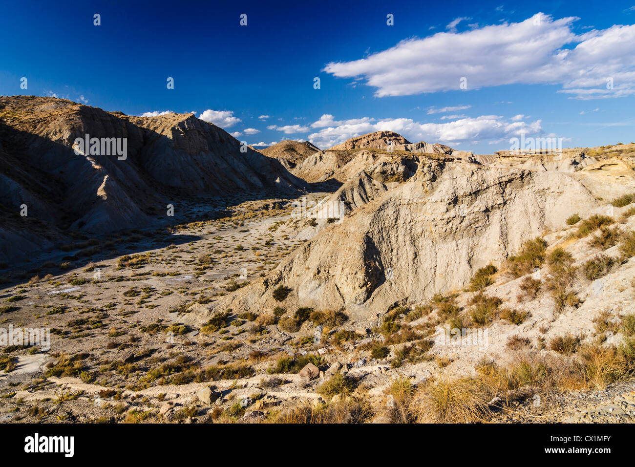 Un dry creek nel deserto Tabernas badlands. Almeria, Andalusia, Spagna Foto Stock