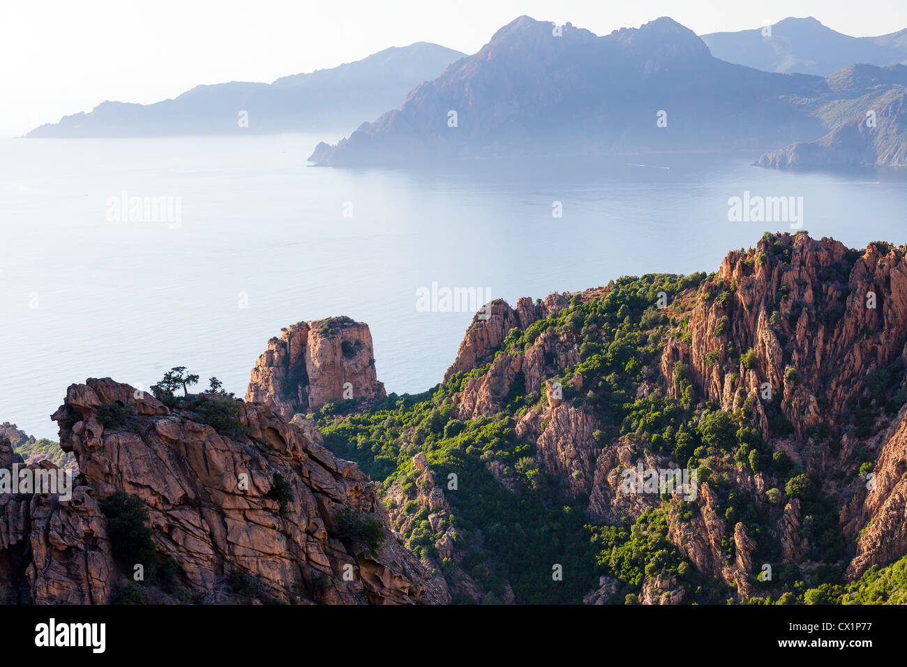 Costa rocciosa paesaggio al tramonto, Corsica, Francia Foto Stock