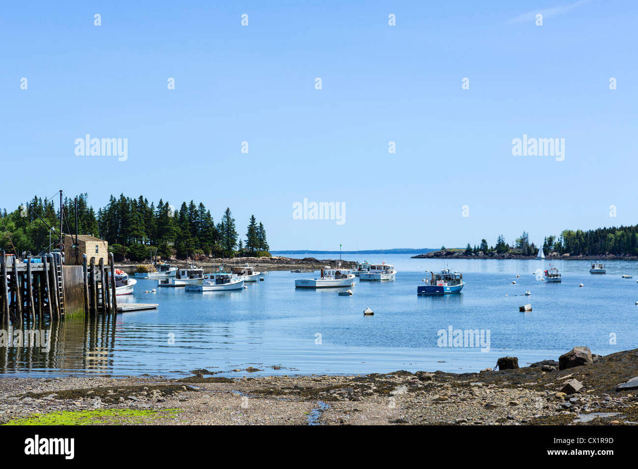 Lobster barche in un commerciale del porto di pesca di St George Penisola, Knox County, Maine, Stati Uniti d'America Foto Stock