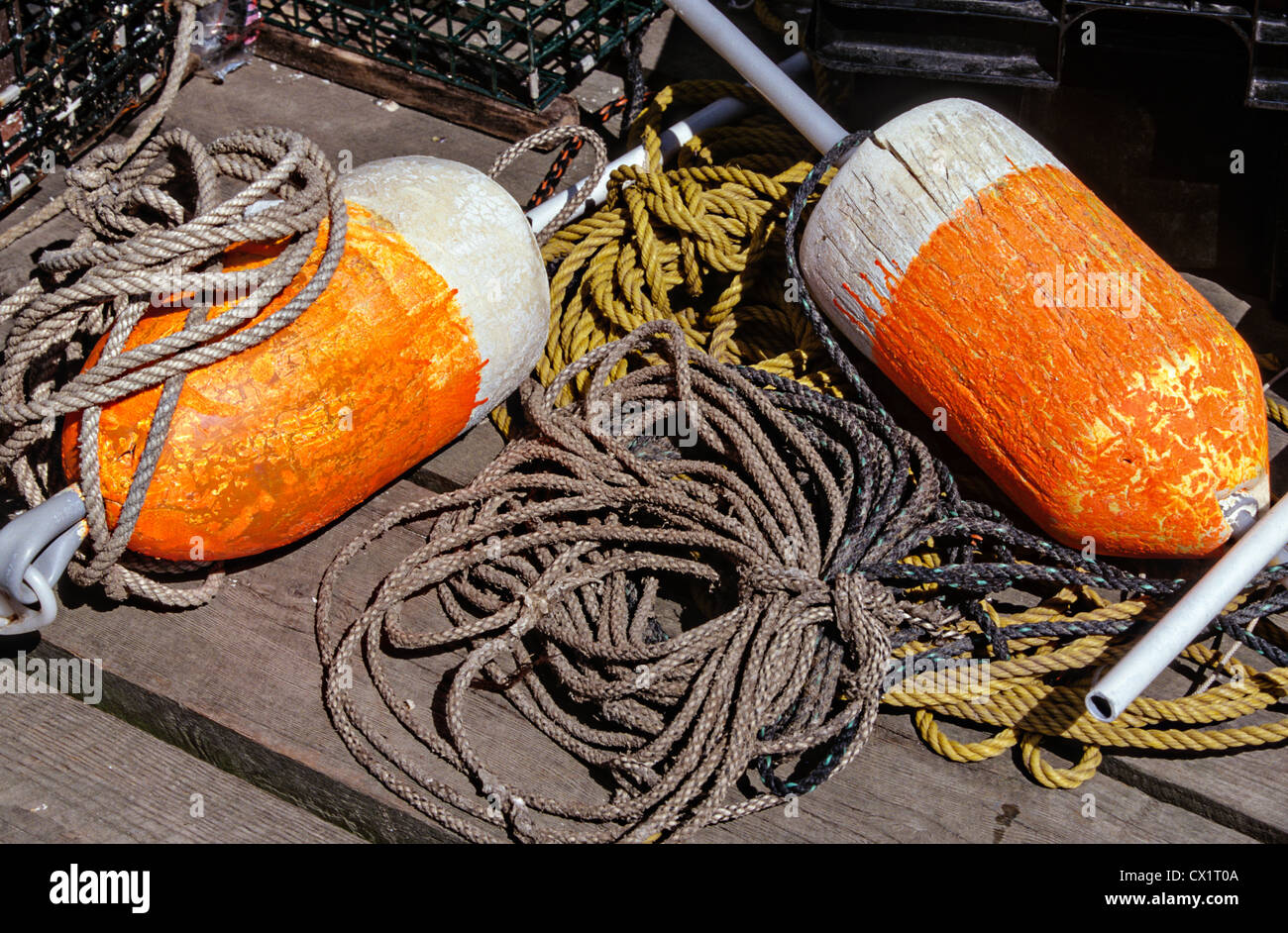Boe di aragosta e trappole su un approdo nel porto di inquilini, Maine. Foto Stock