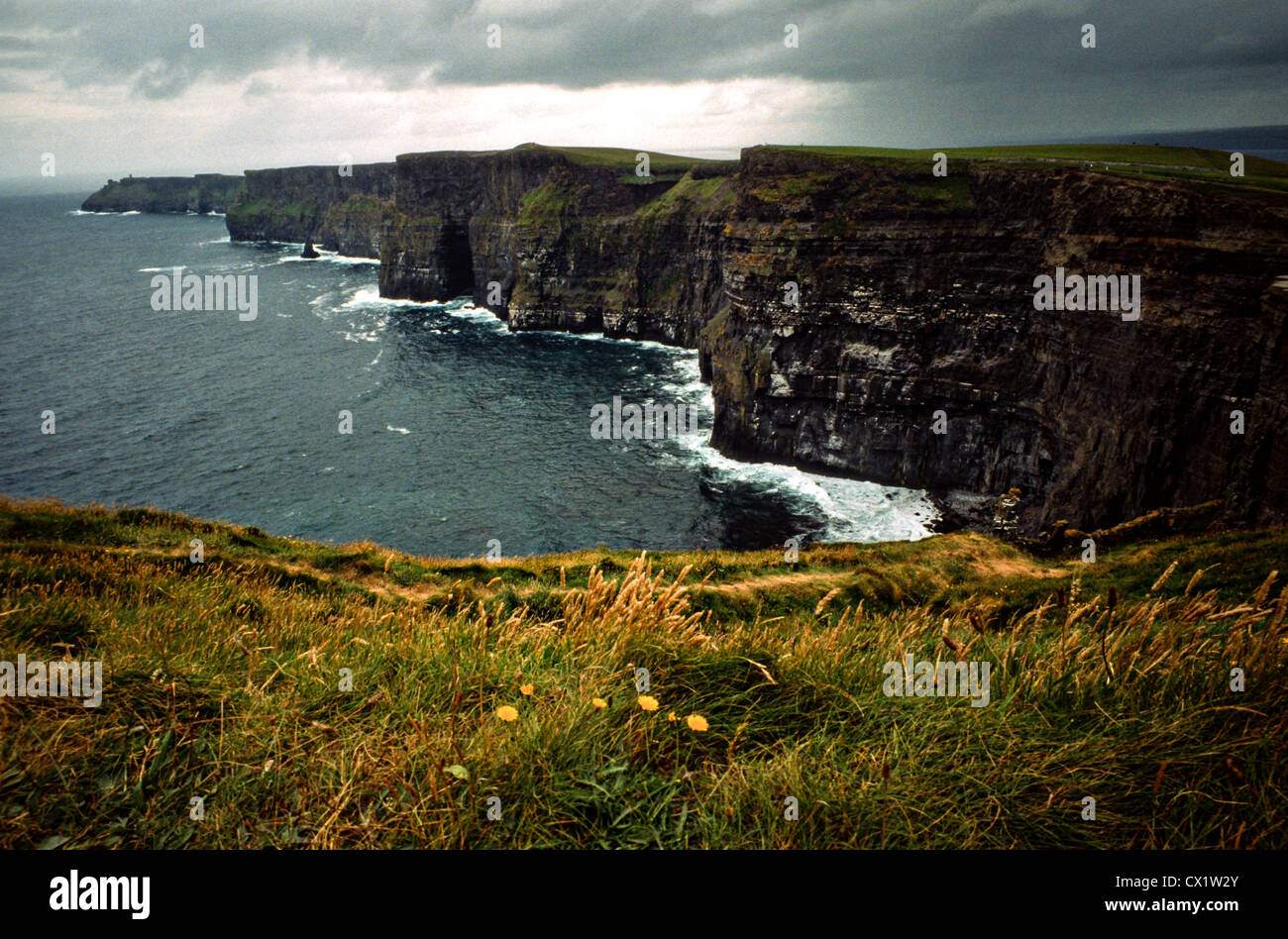 Scogliere di Moher durante una tempesta Shannon - Irlanda Foto Stock