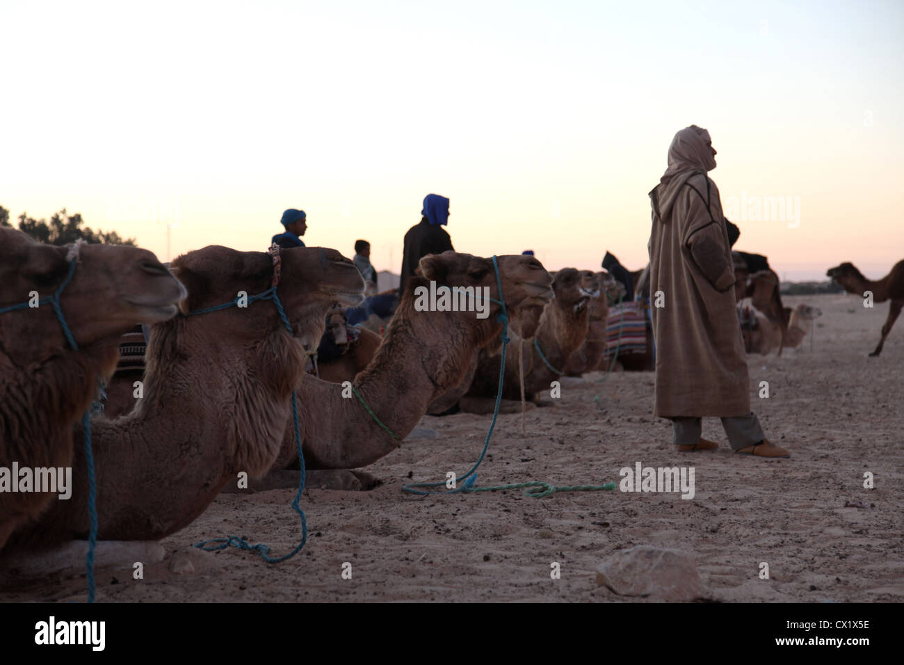 Mattina nel deserto del Sahara Foto Stock