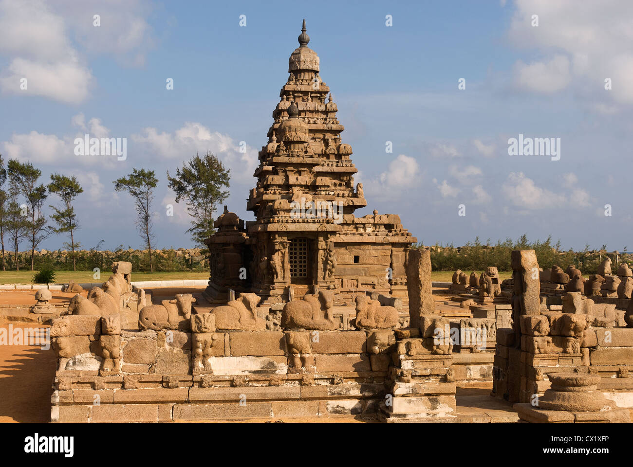Elk201-4229 India, nello Stato del Tamil Nadu, Mamallapuram, Shore Temple Foto Stock