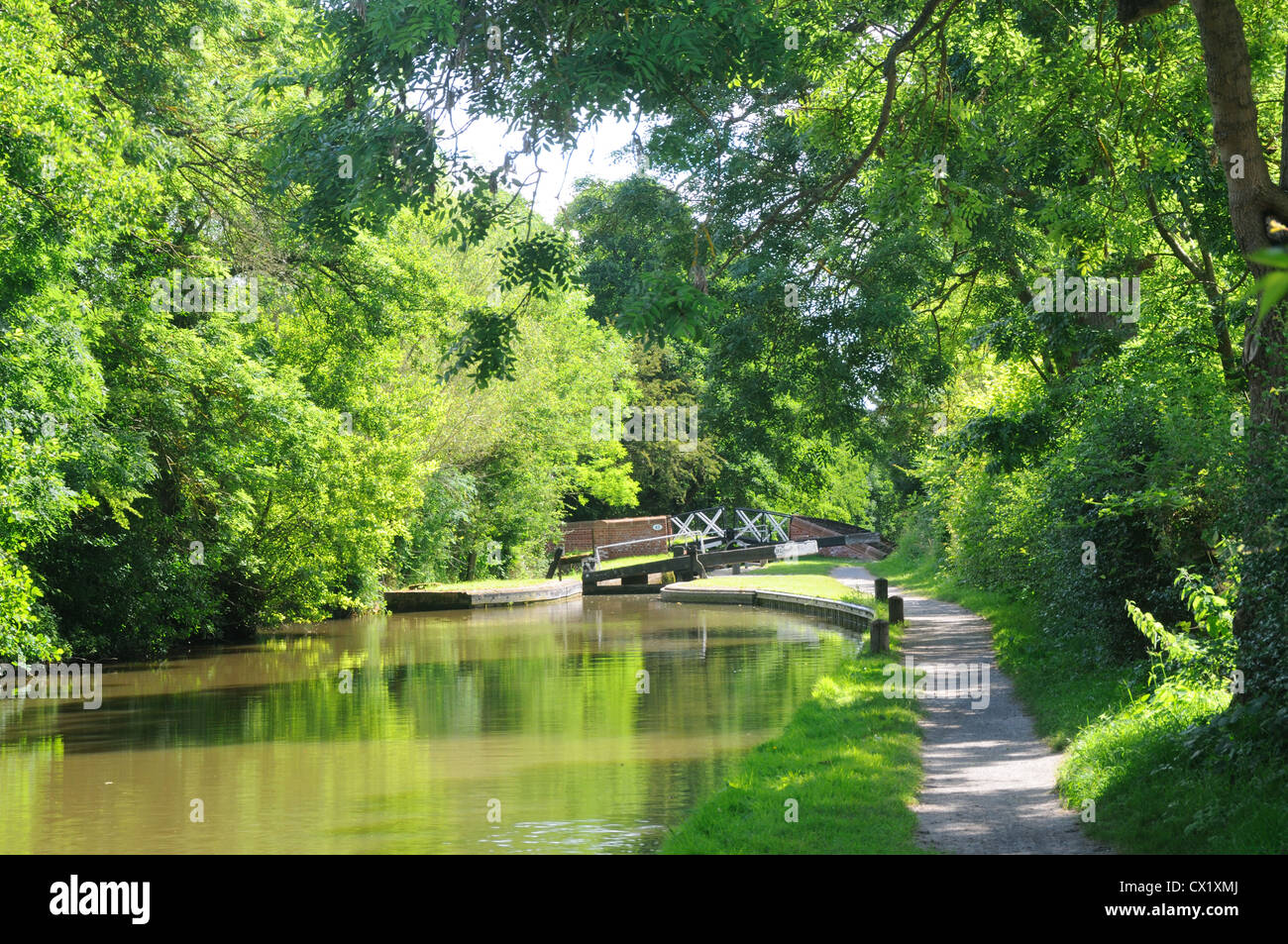 Il sylvan impostazione di Stratford-upon-Avon Canal a bloccare No.35, vicino Yarningale, Warwickshire, Inghilterra Foto Stock