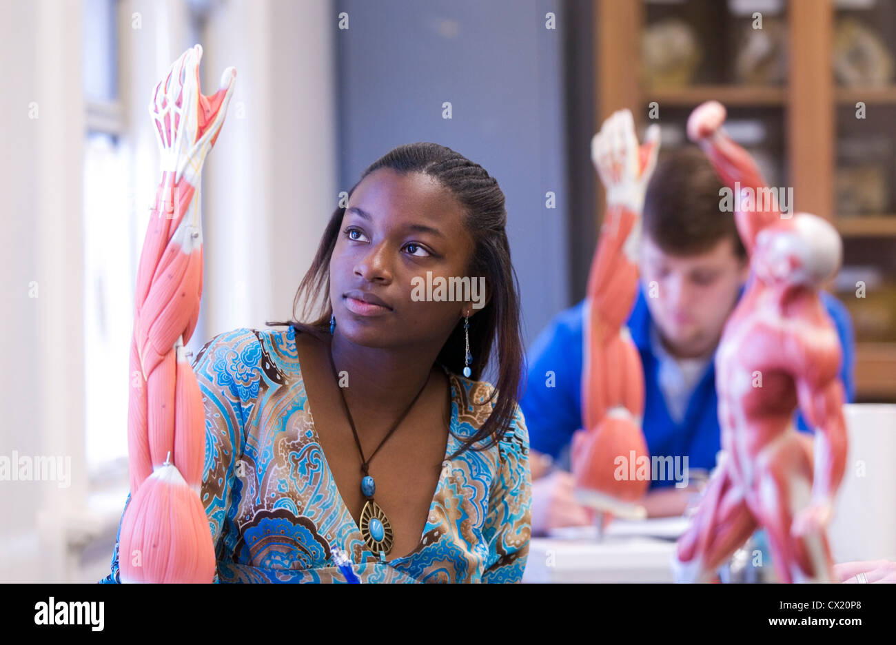 Una giovane donna africana di studente americano studi la muscolatura in un collegio bioscience classe. Foto Stock