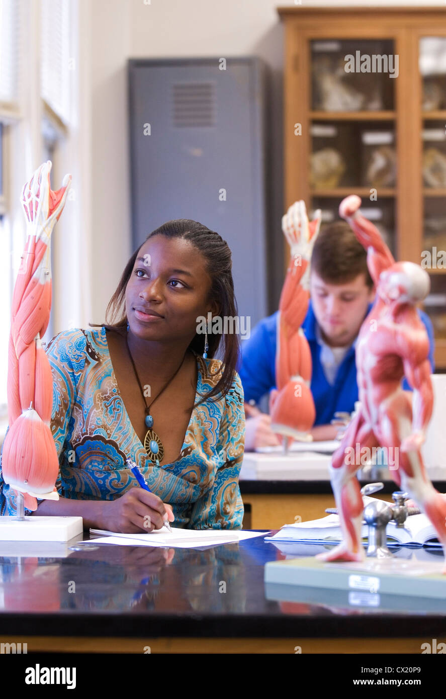 Una giovane donna africana di studente americano studi la muscolatura in un collegio bioscience classe. Foto Stock