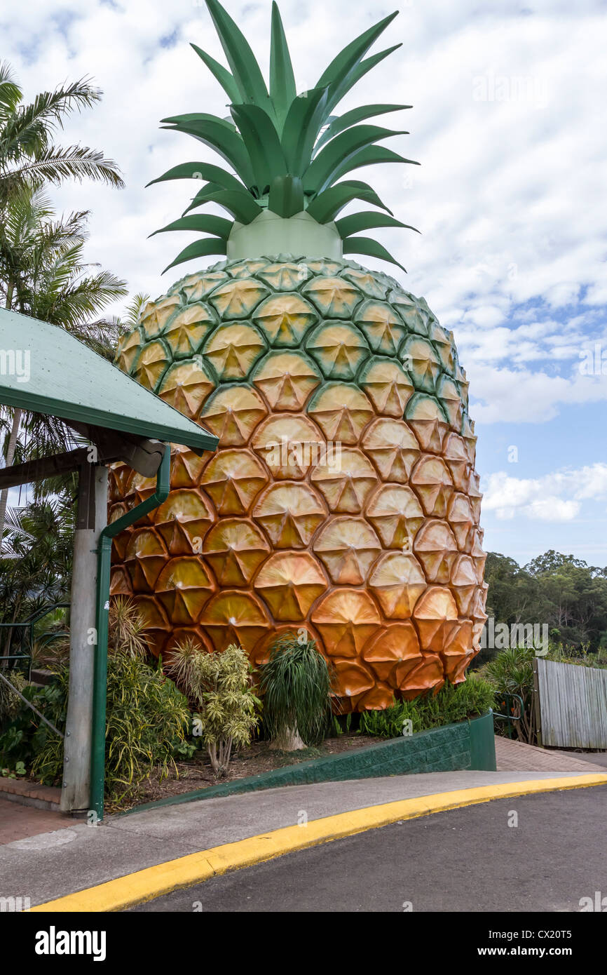 Il Grande Ananas è un'attrazione turistica sulla Costa del Sole nel Queensland, in Australia. Foto Stock