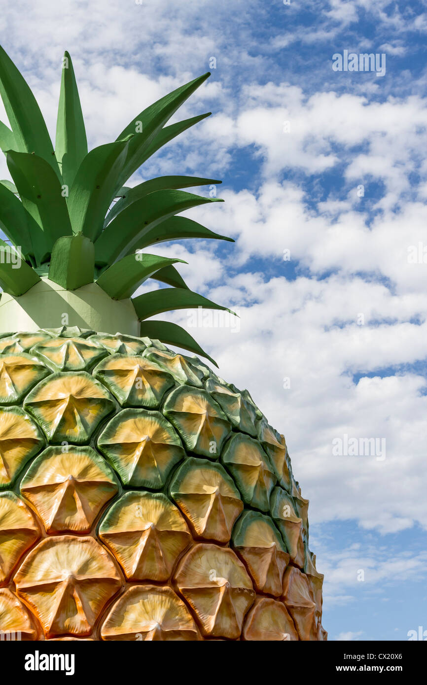 Il Grande Ananas è un'attrazione turistica sulla Costa del Sole nel Queensland, in Australia. Foto Stock