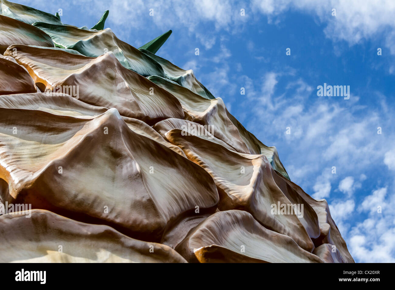 Il Grande Ananas è un'attrazione turistica sulla Costa del Sole nel Queensland, in Australia. Foto Stock