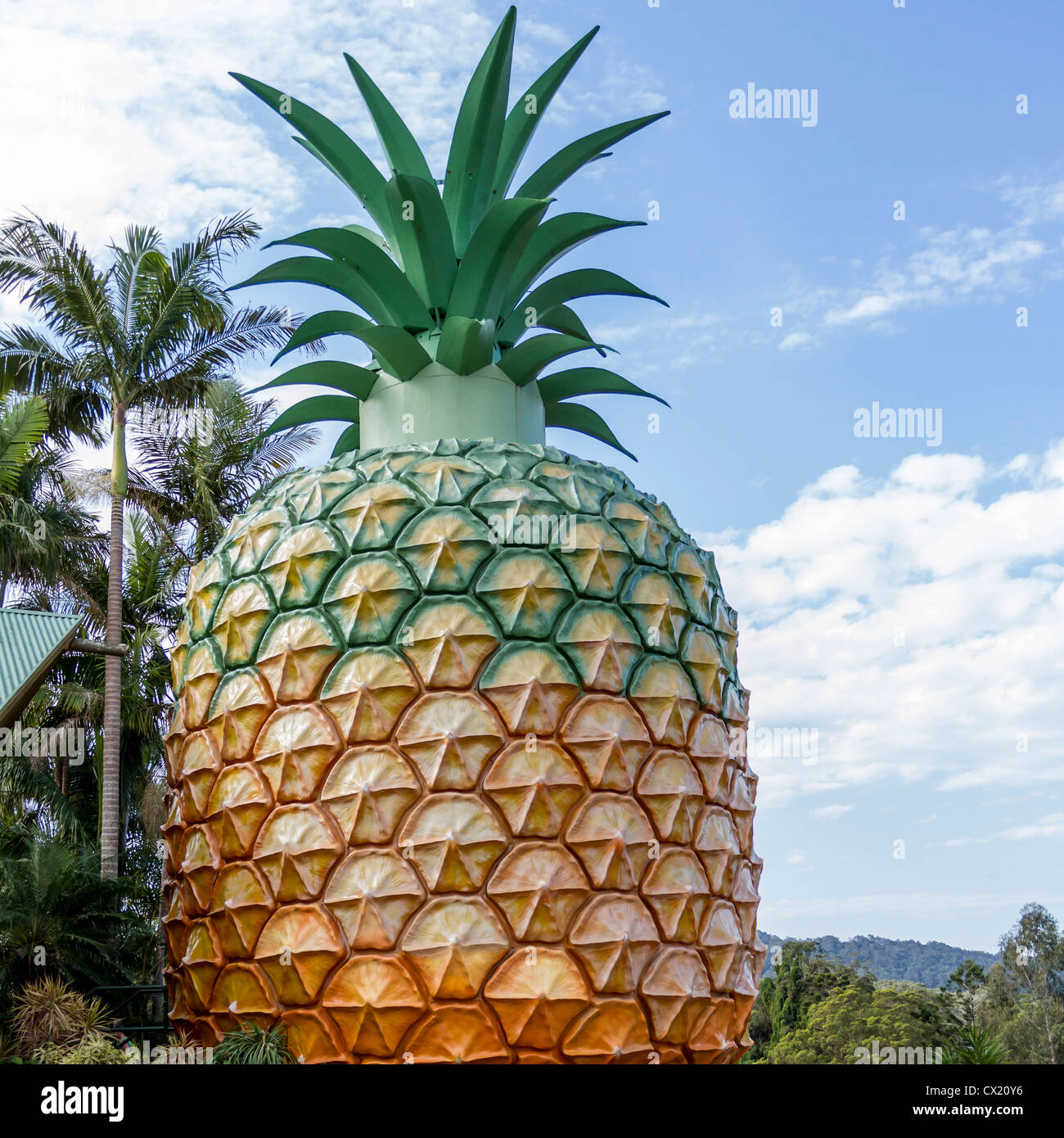 Il Grande Ananas è un'attrazione turistica Foto Stock