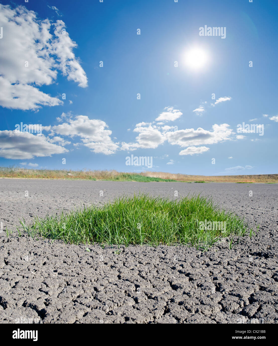 Sun sulla terra della siccità Foto Stock