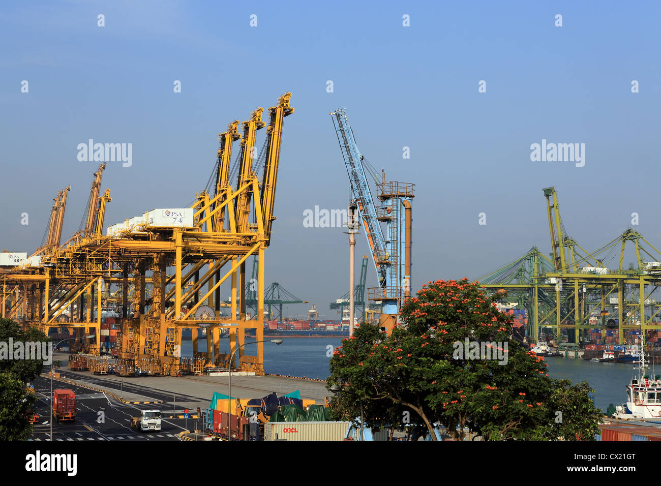 Occupato delle attività portuali al porto di Singapore. Foto Stock