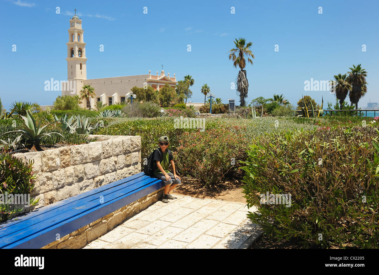 Le strade, case e alberi della Vecchia Jaffa Foto Stock