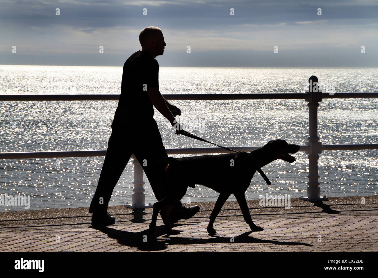 Uomo che cammina cane sul fronte mare. Foto Stock