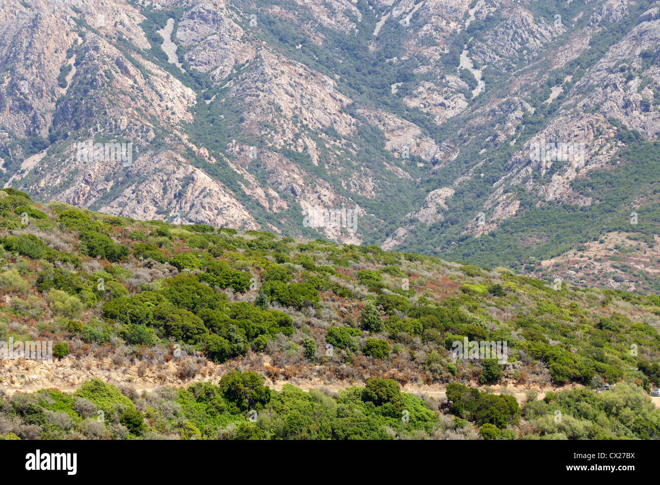 Paesaggio di montagna in Corsica, Francia Foto Stock