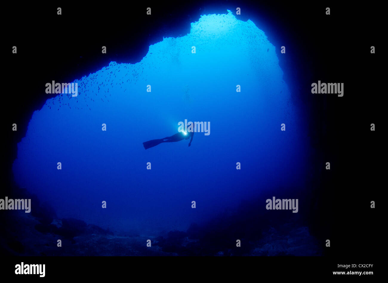 Cocos Island, Costa Rica, subacquea Sea life, subacqueo, femmina subacqueo, silhouette, grotta, caverna, acqua azzurra, acqua chiara, profondo mare Foto Stock