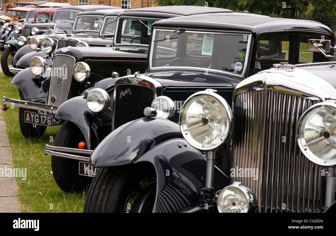 Vintage auto da rally, Chatsworth Country Fair 2012, Chatsworth House, Derbyshire, Regno Unito Foto Stock