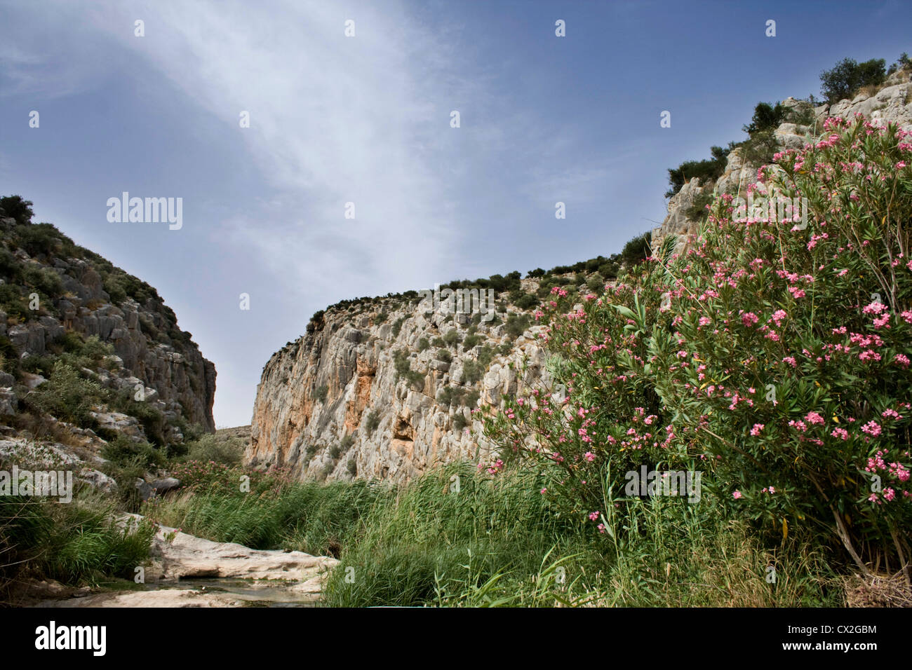 Teba Gorge in Andalusia Spagna, un buon posto per il bird-watching. Foto Stock