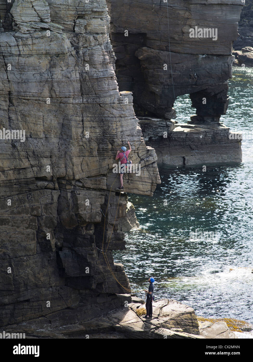 dh Seacliffs scotland YESNABY ORKNEY Ascending rock climber a Ledge scaling scogliera climbing scogliere uomo uk corda mare persona su rocce costiere Foto Stock