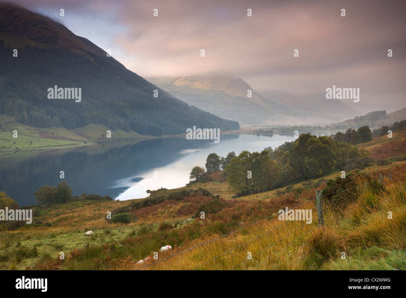 Loch Doine nel Trossachs, Stirling, Scozia. In autunno (ottobre 2010). Foto Stock