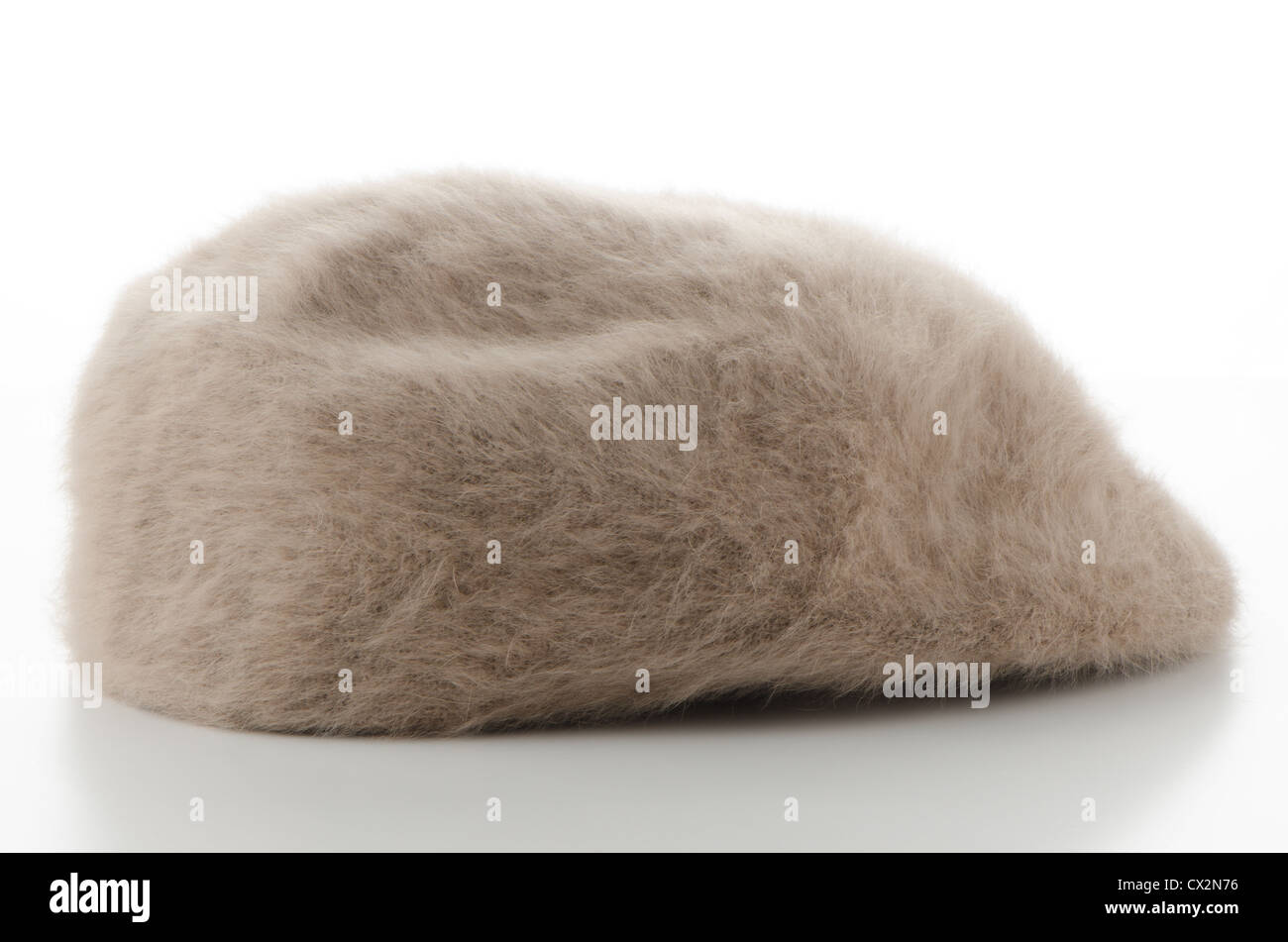 Brown in stile retrò fur cappuccio su sfondo bianco. Foto Stock