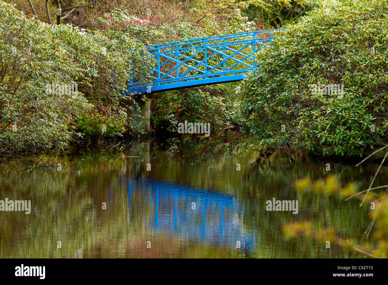 Blue Bridge oltre ancora acque Foto Stock