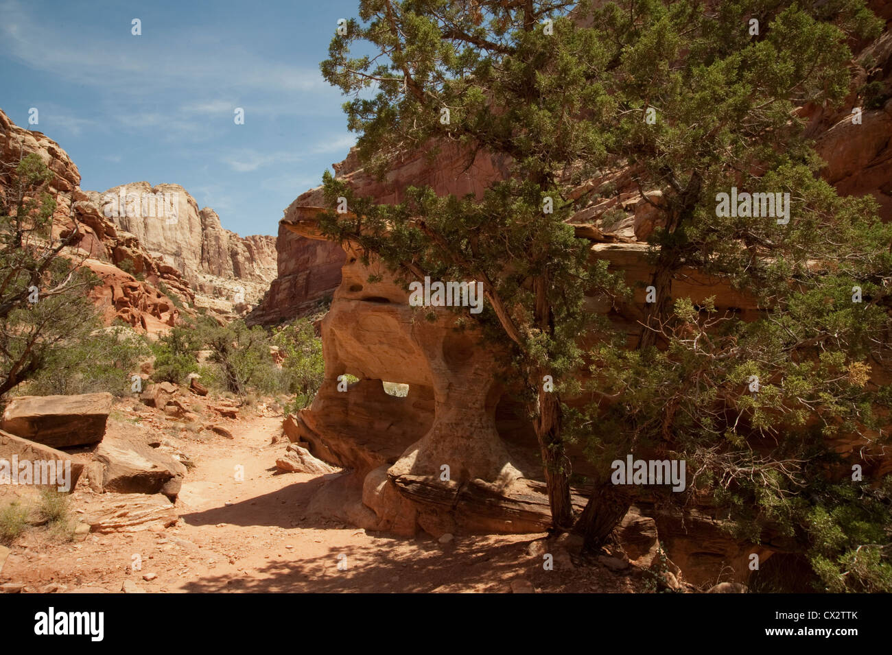 Percorso lungo il Capital Reef National Park Grand lavare Foto Stock