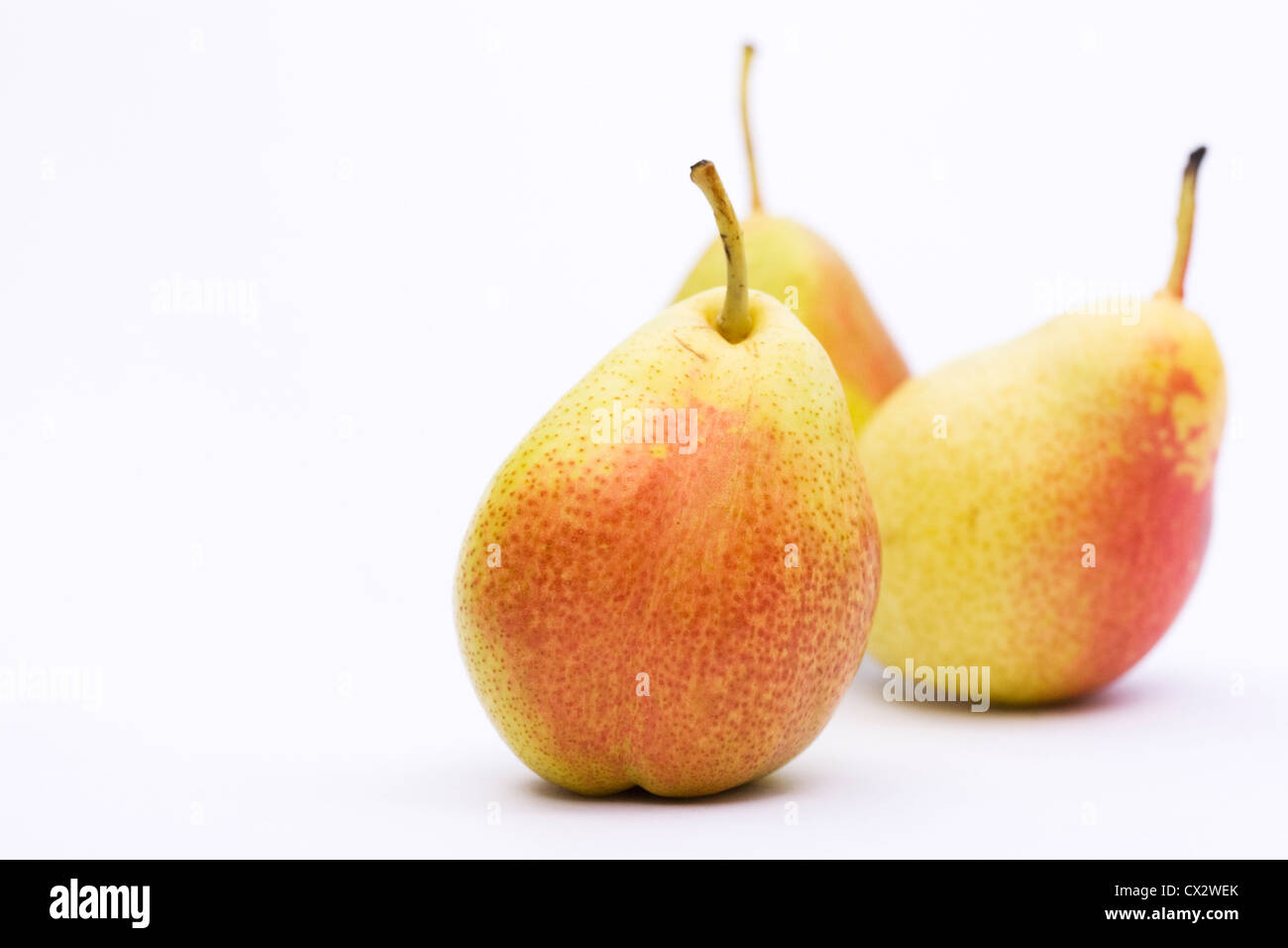 Pyrus communis 'Forelle'. Tre rossi arrossire dessert pere su uno sfondo bianco. Foto Stock