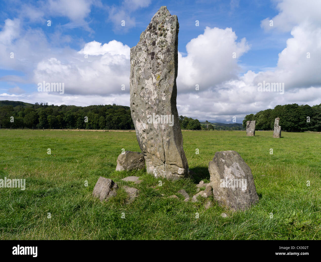 dh Nether Largie Stone KILMARTIN GLEN ARGYLL SCOZIA pietre stazionarie scozzesi con contrassegni di coppa monumenti preistorici Foto Stock