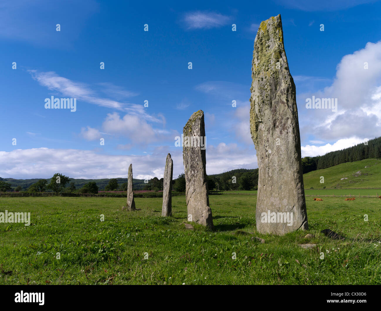 dh Ballymeanoch pietre in piedi KILMARTIN GLEN ARGYLL SCOZIA pietre scozzesi neolitico pietra età estate Foto Stock