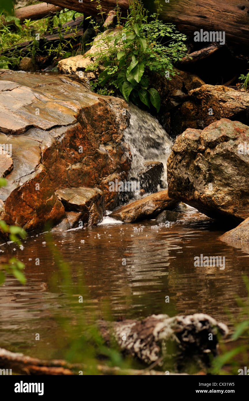 Piscine forma nel flusso lungo il Marshall Gulch Trail, Mount Lemmon, Santa Catalina Mountains, Deserto Sonoran, Arizona, Stati Uniti. Foto Stock