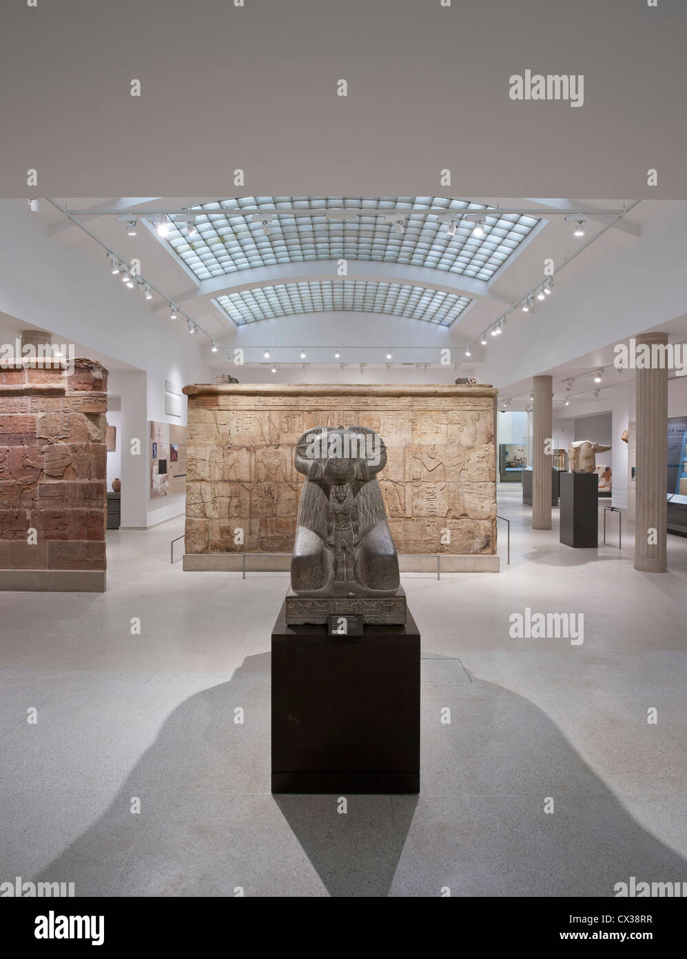 Egitto gallerie, Ashmolean Museum di Oxford, Regno Unito. Architetto: Rick Mather Architects, 2011. Foto Stock